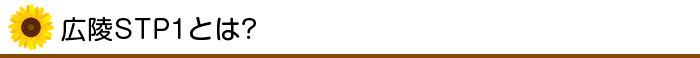 広陵STP1とは?